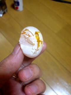 銀鳩の卵